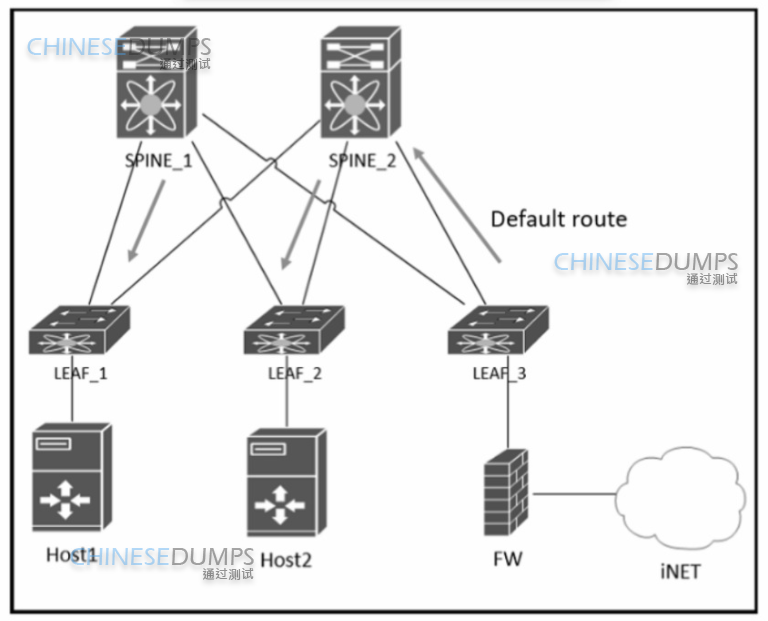 Cisco 300-610 DCID Exam Practice Test Instant Access - No Installation  Required